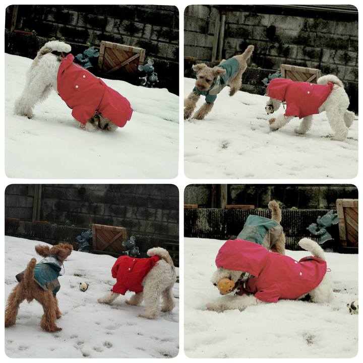 251af59d df14 4fdb b7be 11a0abc2b497