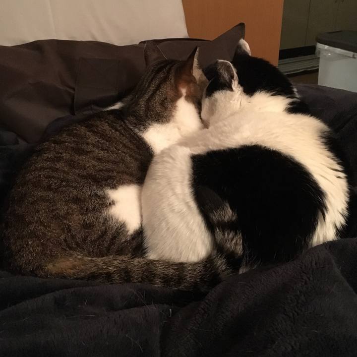 251bf068 0344 41c7 96af d289dd5a043e