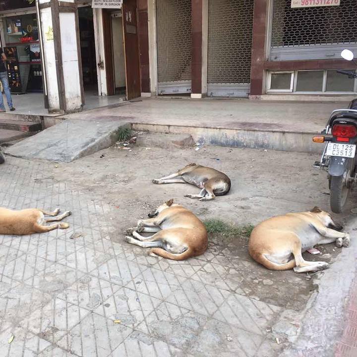 251d3f43 c891 4215 9588 3f23f51e60b4