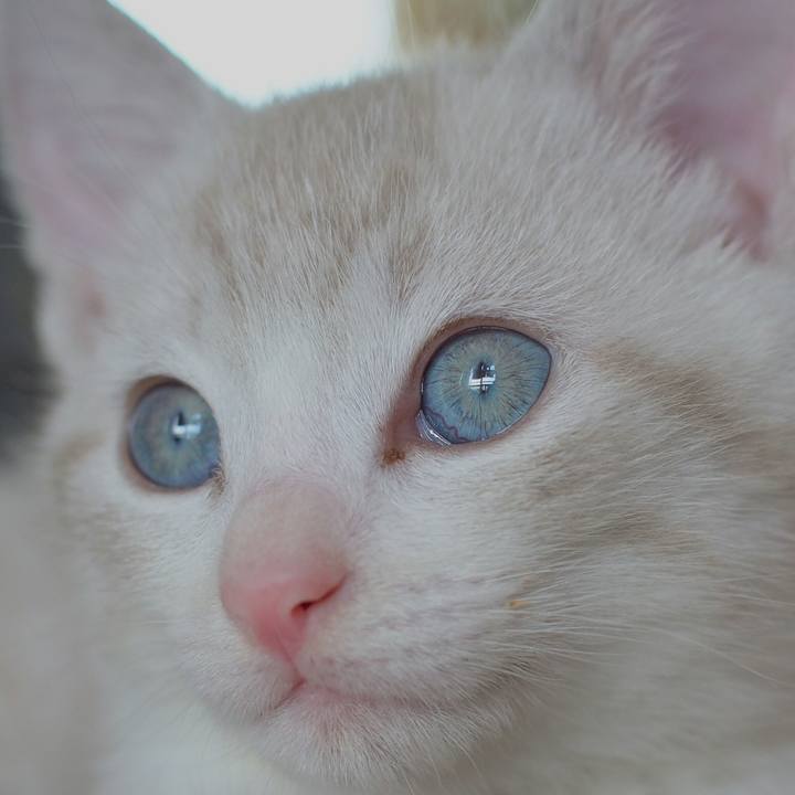 251d6838 e09c 4840 8262 da339e317580