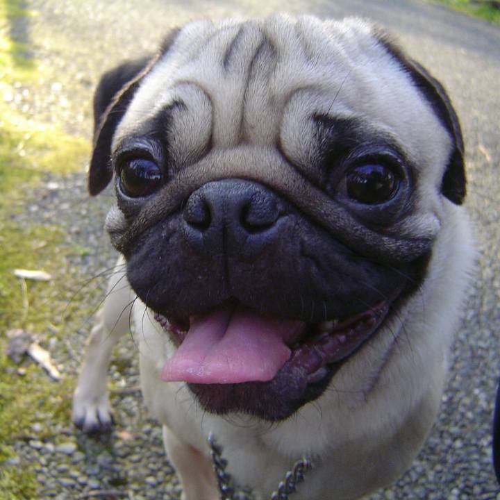 251d9751 c005 48ab 9594 68e0a75ceaf2