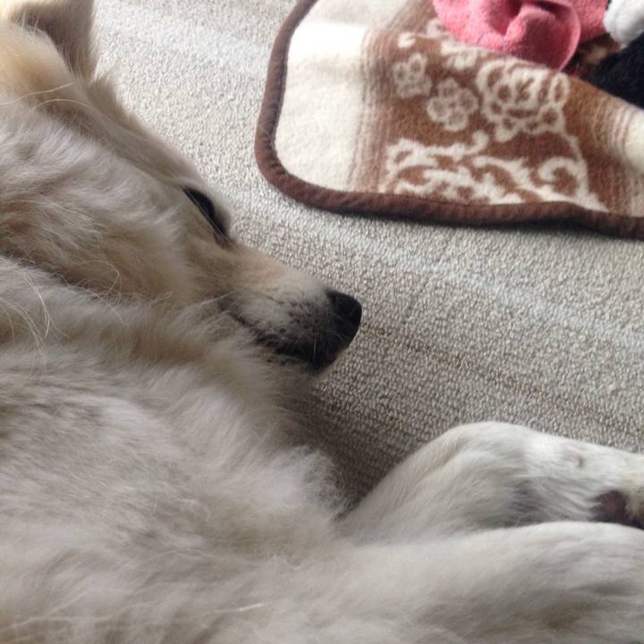 251da7bf a015 4c9f b0b2 c2b8a276f6c8