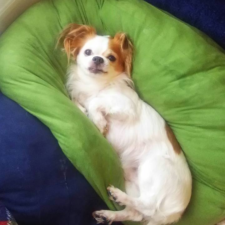 251de009 f2e4 455d a821 a15f47b9b101