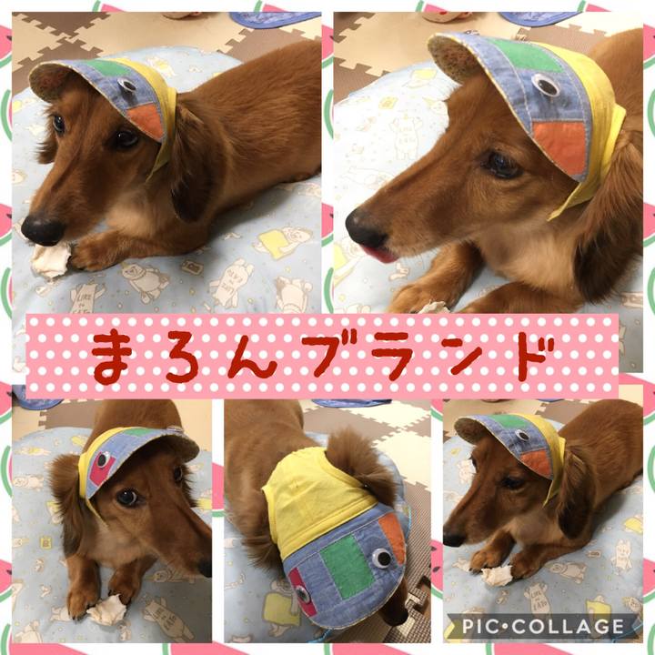 251de036 1a9d 49f7 a00b 252cdbf71ad4