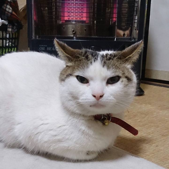 251e70c0 eb7c 4d97 beb9 2b6d99756bd3