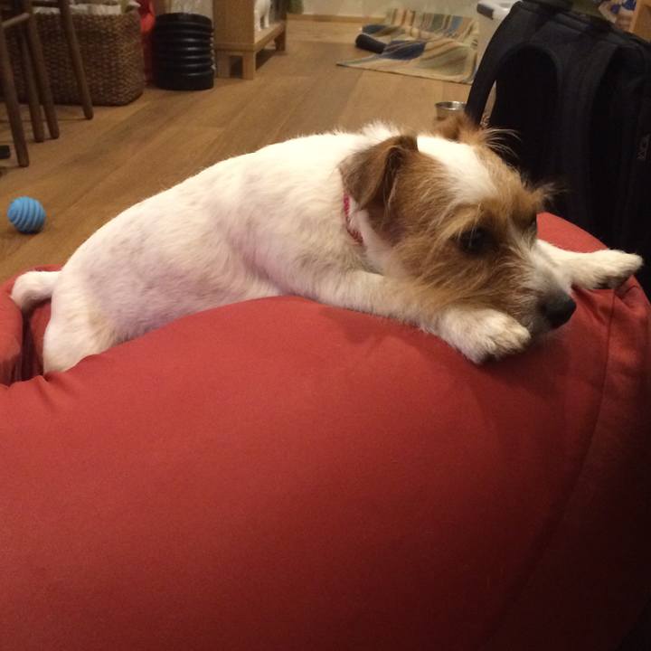 251ed96a a1a2 47de a384 c953dd6c459c