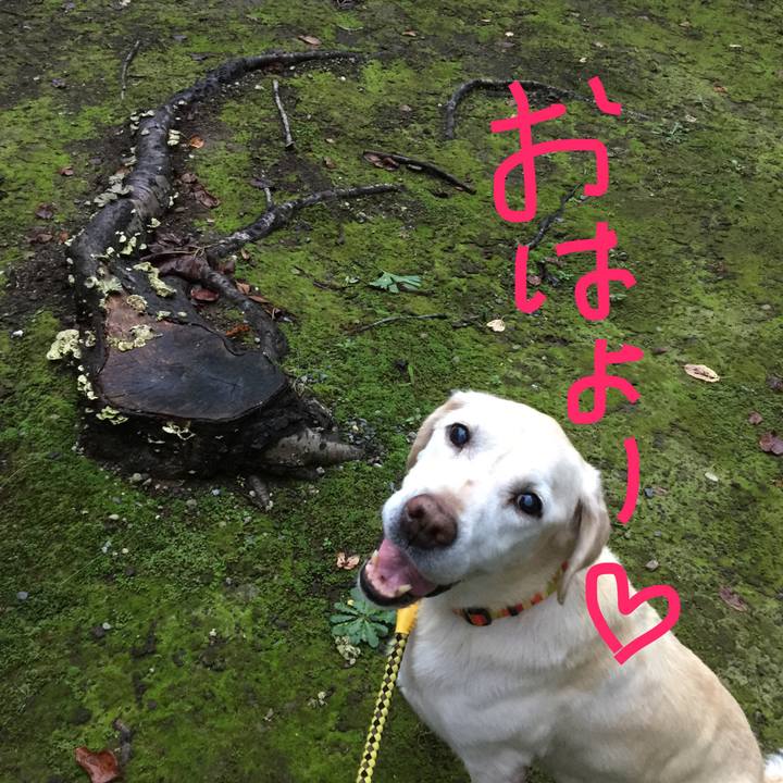 251ee840 6b9f 4979 a4f4 577234262204