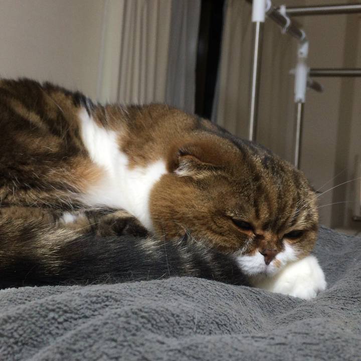 251f1be3 e86f 45b2 aed1 0cedae70cdd9