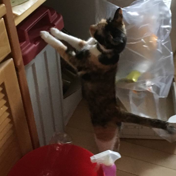 25214acf c9dd 46b9 b3cf 4ad6648c1b4a