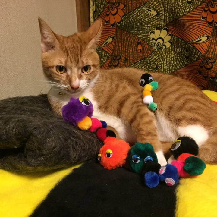 25217fb8 31ca 4986 aa7c ee526c02248b