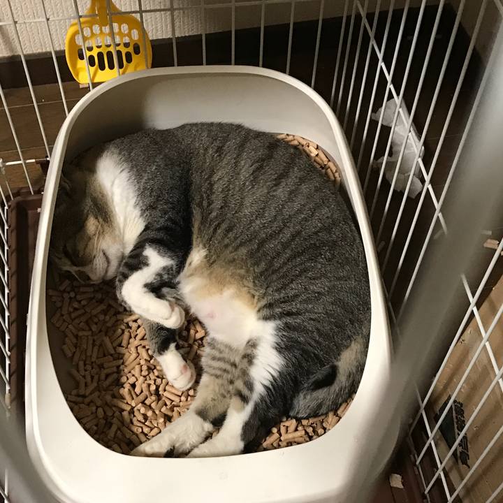 2521854f 9b51 44c6 ac92 5f5c8ee17e2a