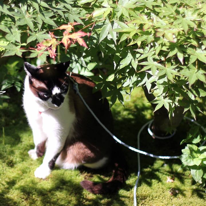 2522c216 0005 48f4 90e8 1b0d26edf457