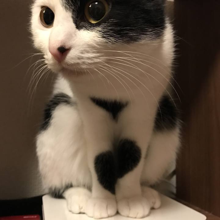 25231189 b814 428a 89aa e69e53f731a9