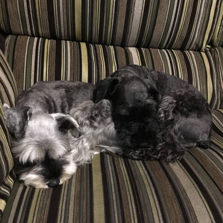 2523aa67 d59a 4b04 94af 9b997dd1bd97