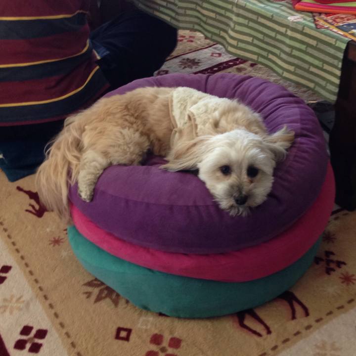 2523b243 e110 4fd2 ba54 4ca3032f89db