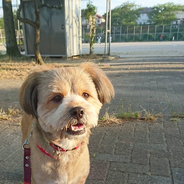 2523e33e 4611 4f2d a123 f4bede2f05bb