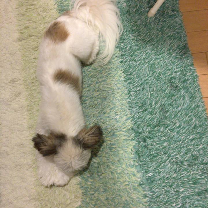 25240e9f afe3 4891 b5bc 569ebb9f102d