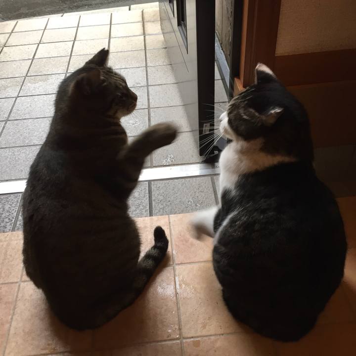 2525144b 0fe2 43f2 80ee 41e60aa6572d