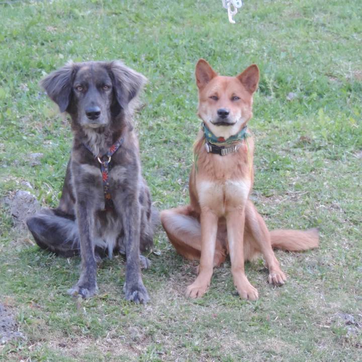 25253cb9 fb10 463a 9325 c143cc567b38