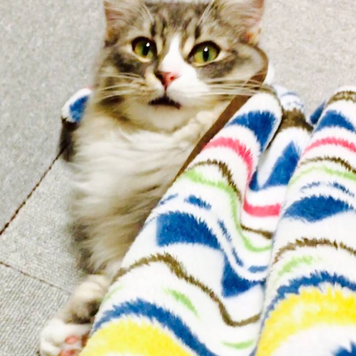 2525775a 2c47 4875 a5e4 cea27440d9f1