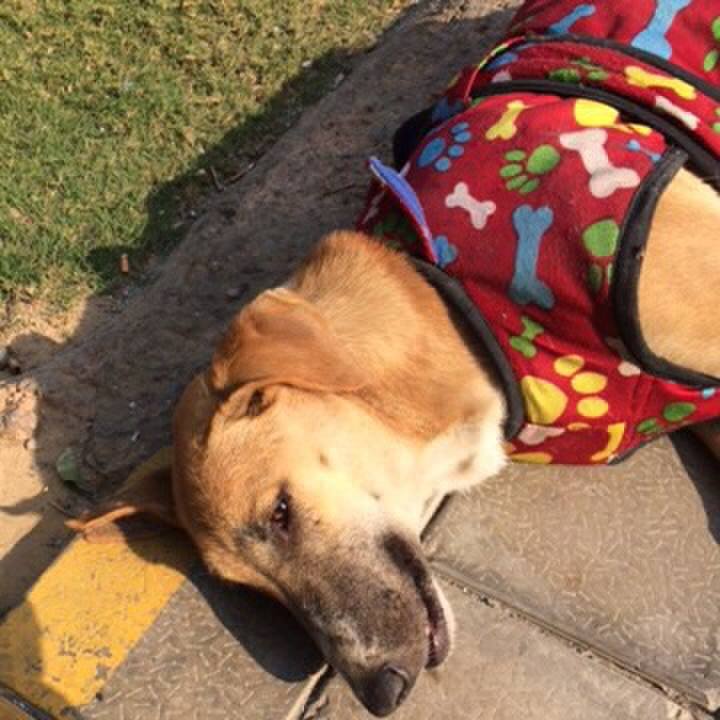 2525cc16 2295 4656 b70a 1dea255969fd