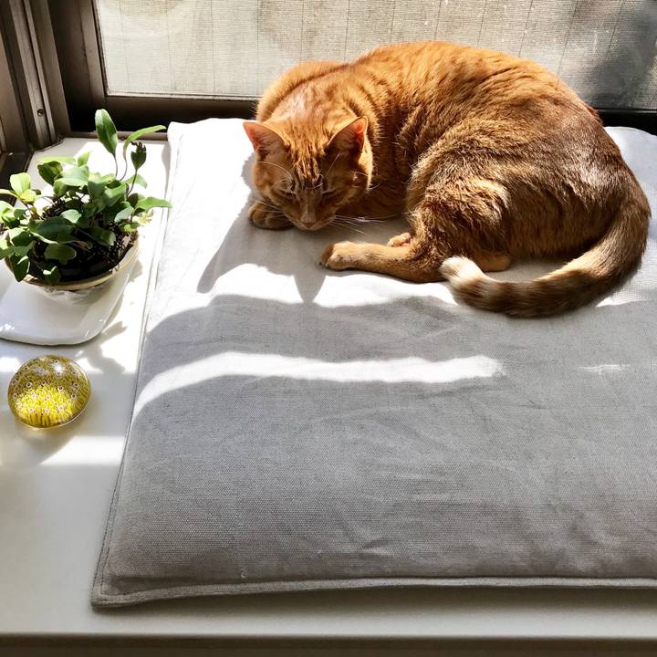 2526884b dc6e 4eb6 8103 d4d661205453