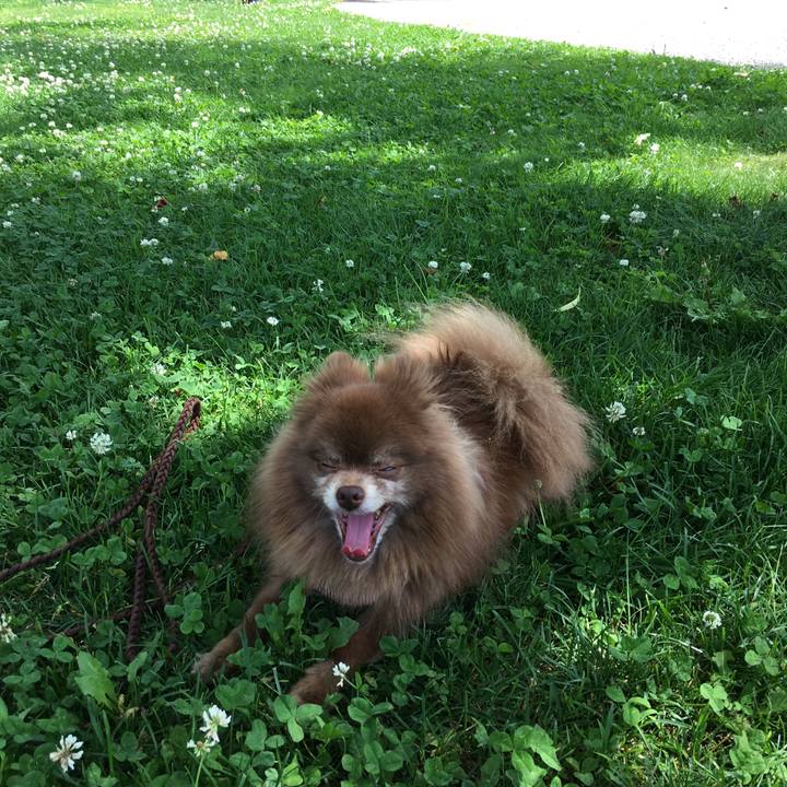 2526e7f0 4cd8 4c2f aa97 ecf36061b51a