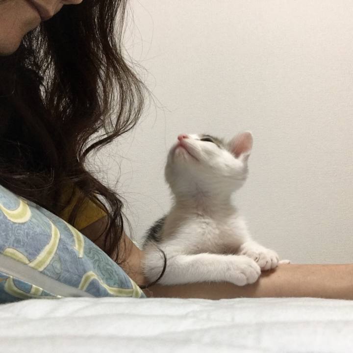 2526fc21 28f9 4cc5 b1b7 935d3f6010b9