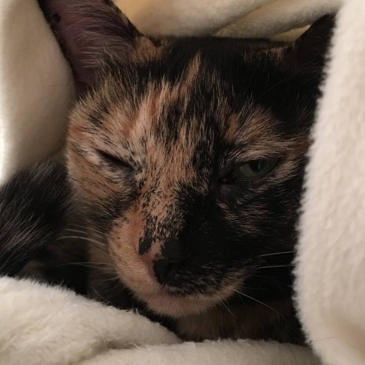 2526ff0a 496e 4050 9326 9991a25c6495