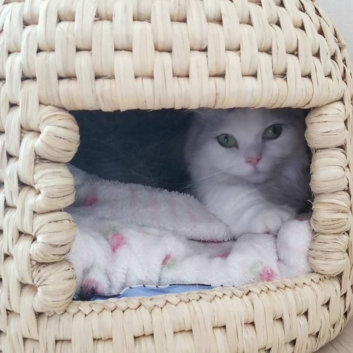 25274fb2 6357 40a7 bc5f 65393dd56075