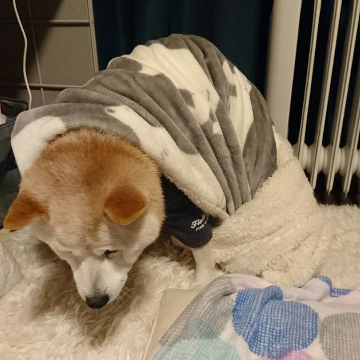 252884a5 9144 401e abc6 24be38734ca8