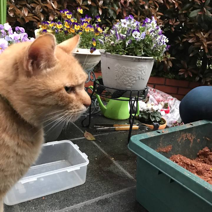 25288bde fd0b 4d64 ab0f e0e86f500395