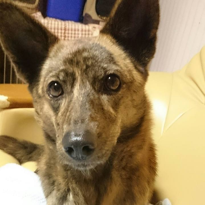 25292b3f 29a6 41fa 92db a135cdc9e8cd