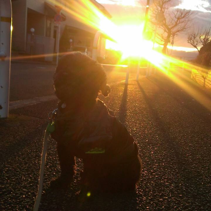 252954b9 099c 42d5 b508 c272d48a11ba