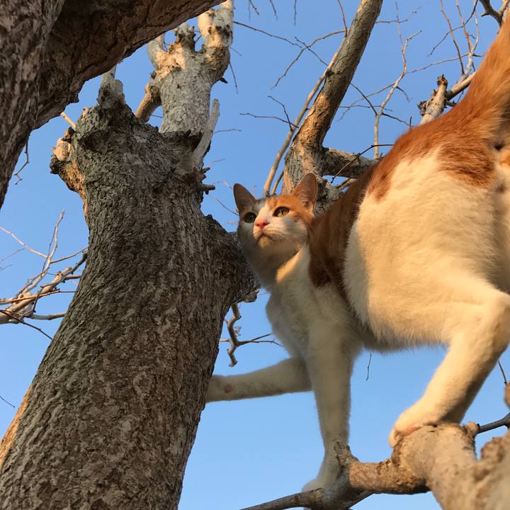 252a4047 86b3 48f8 bf54 a7c50904d840