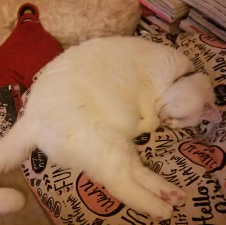 252a8c45 16e2 4a60 8e03 04476e44108a