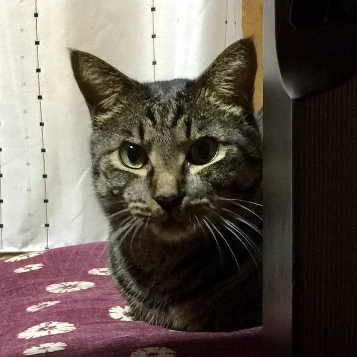 252ac95d 7d42 4e9f 8b35 49362c6c3cf1