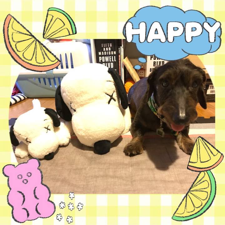 252acfc0 89fd 489b a7b0 f0c1a253038b