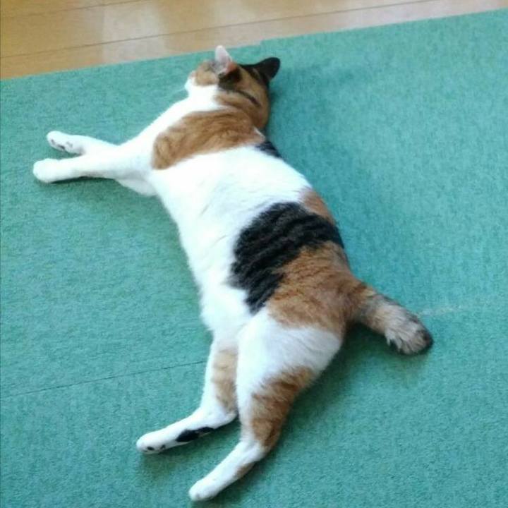 252b78ec 7716 4bf6 b7ff eff0893746f0