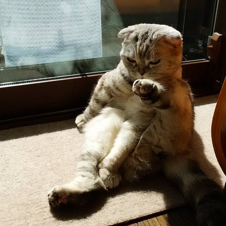 252ba45e aac8 46ff aa8a 632ebc07c3e0