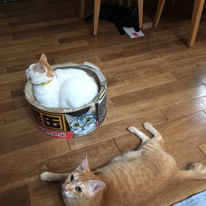 252bb37d 6160 4b53 b66f cc297b992a08