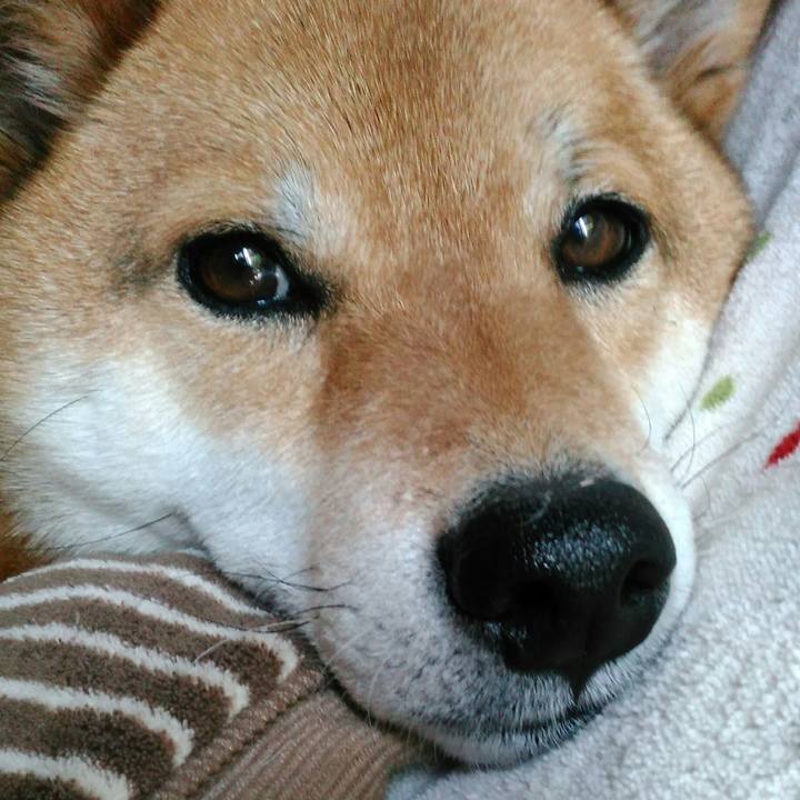 252c547e 0b35 499c b9b8 b99b1a0dd8c9