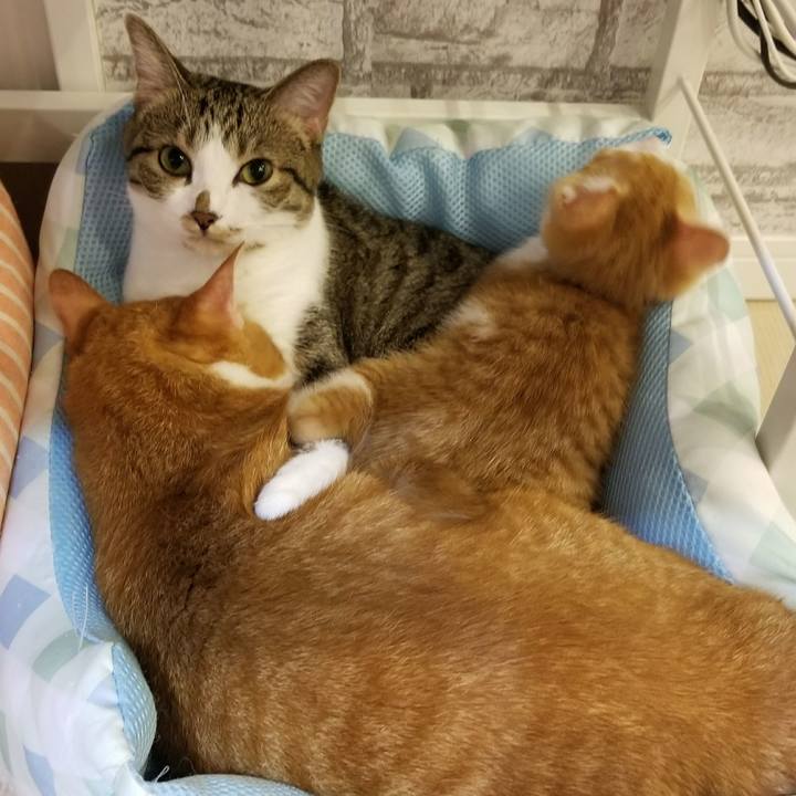 252ccc62 2826 4758 805d 9544a4b3d156