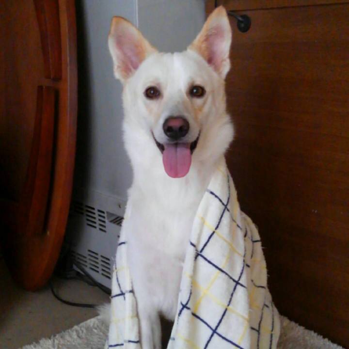 252d1707 bcb6 4e3d bb36 95d90cbe9169