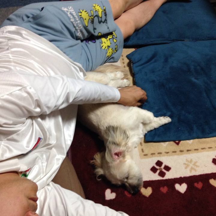 252e3f21 14f8 457e ac65 9864daf2b0ff