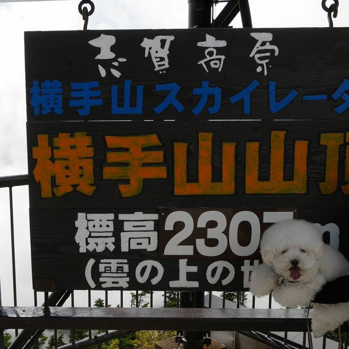 252e7c89 719d 4bf3 abc2 1c74535e43f9