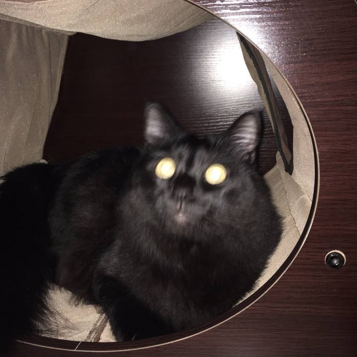 252e8c6f 2cf9 4b14 b15b 4b7f92b1277b