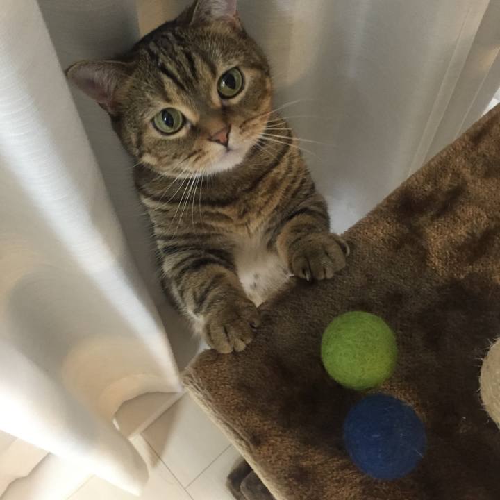 252ea54c 3fbe 4922 b7fa ae875ec2a836