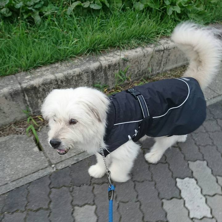 252eb069 2a01 46ab 99e1 0d6fa44910f8