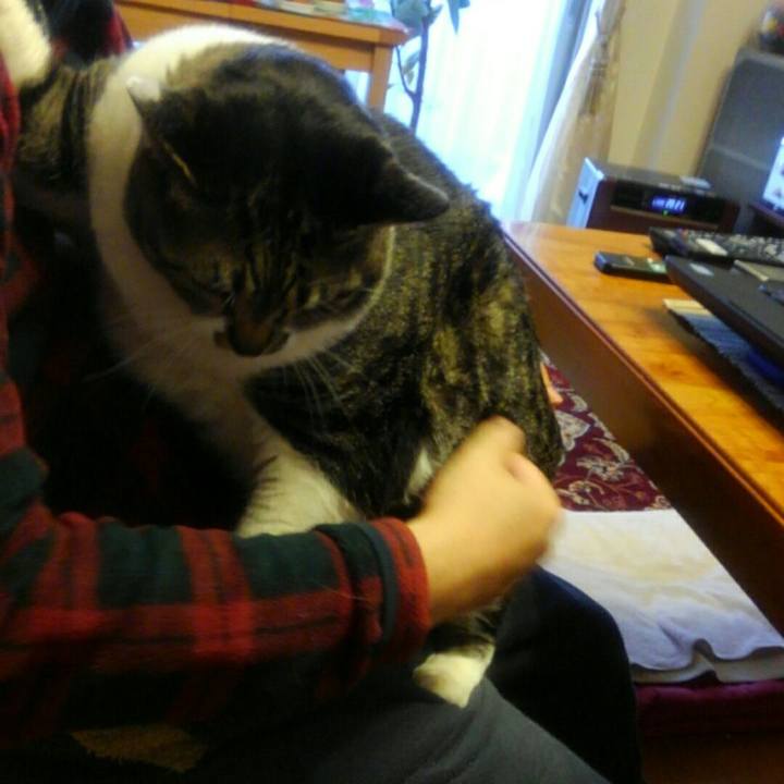 252fd63e d0ce 47da 8418 6c76b59d5745